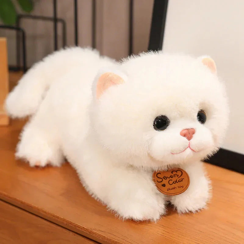 Norvo | Fluffy Kitten Squad Liggende Plushies
