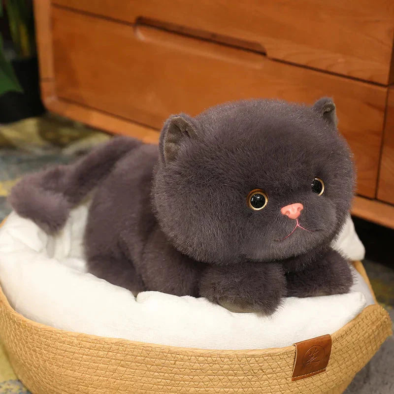 Norvo | Fluffy Kitten Squad Liggende Plushies