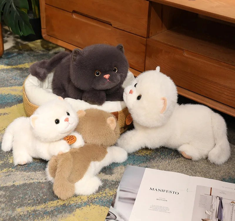 Norvo | Fluffy Kitten Squad Liggende Plushies