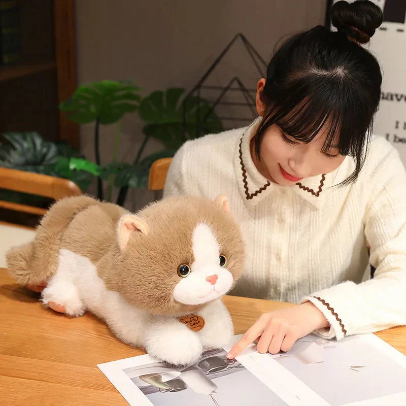 Norvo | Fluffy Kitten Squad Liggende Plushies