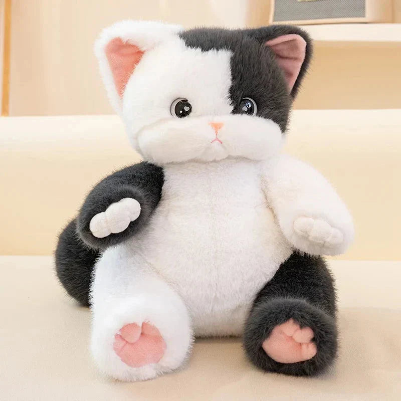 Norvo | Kuro og Neko de Kawaii Katt Plushies