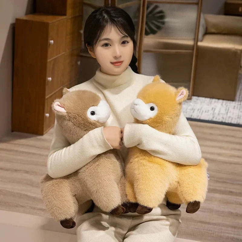 Norvo | Pompom Alpaca Kosedyr Familie