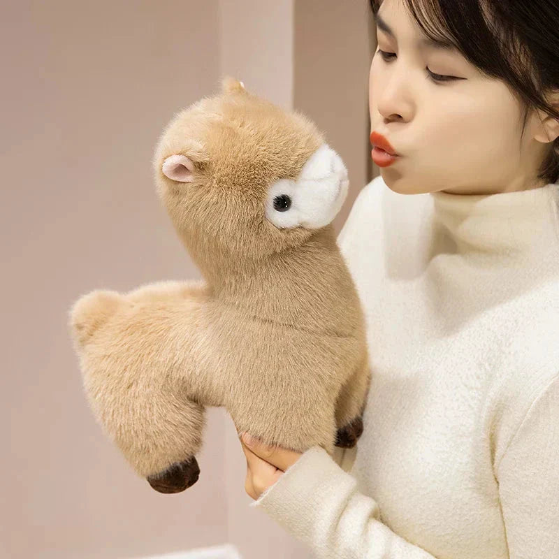 Norvo | Pompom Alpaca Kosedyr Familie