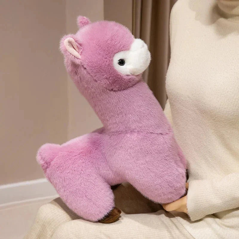 Norvo | Pompom Alpaca Kosedyr Familie