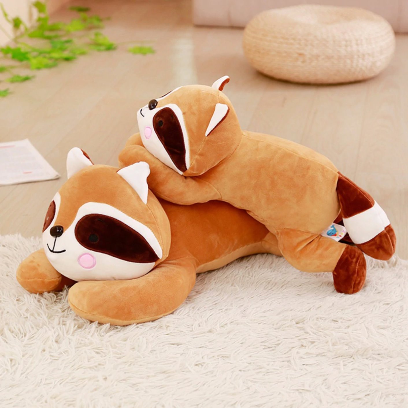 Norvo | Randy the Racoon