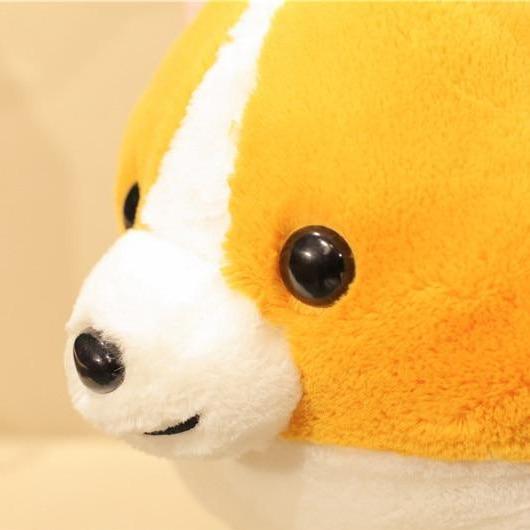 Norvo | Dronningens Corgis