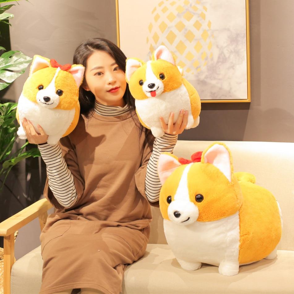 Norvo | Dronningens Corgis