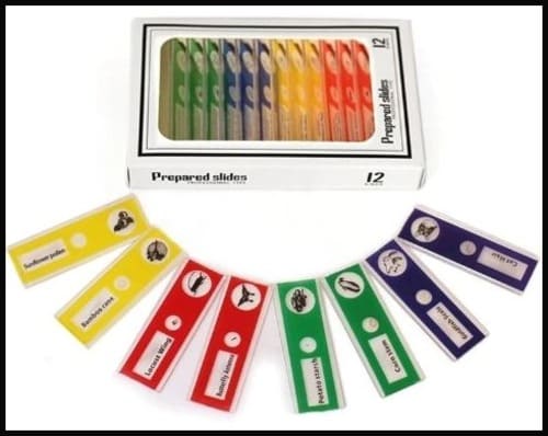 Norvo | KiddyScope™ Bærbar Lommimikroskop med Justerbar 60-120x zoom