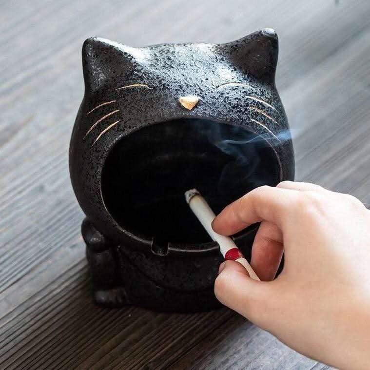 Norvo | VELINO – Premium keramisk ashetter