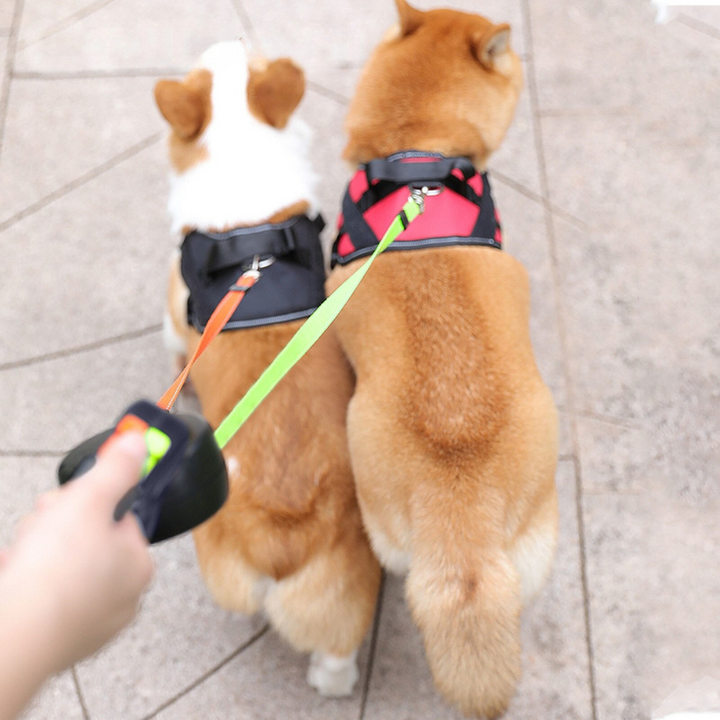 Tangle Free Dual Dog Leash Norvo