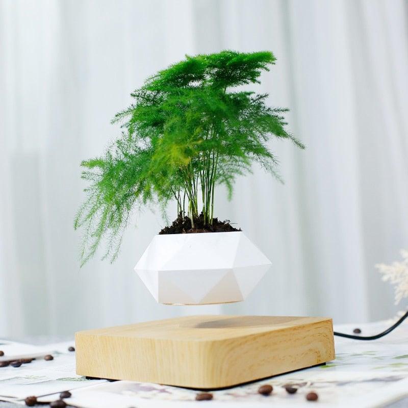 Norvo | Flytende Luft Bonsai Potte