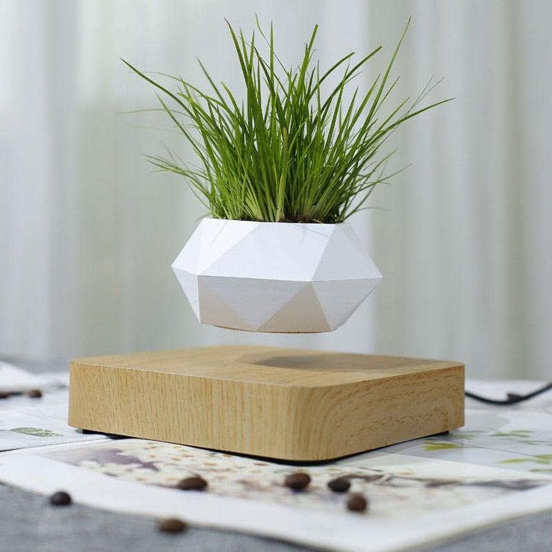 Norvo | Flytende Luft Bonsai Potte