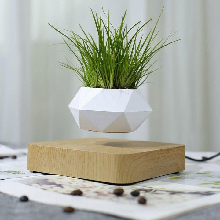 Norvo | Flytende Luft Bonsai Potte