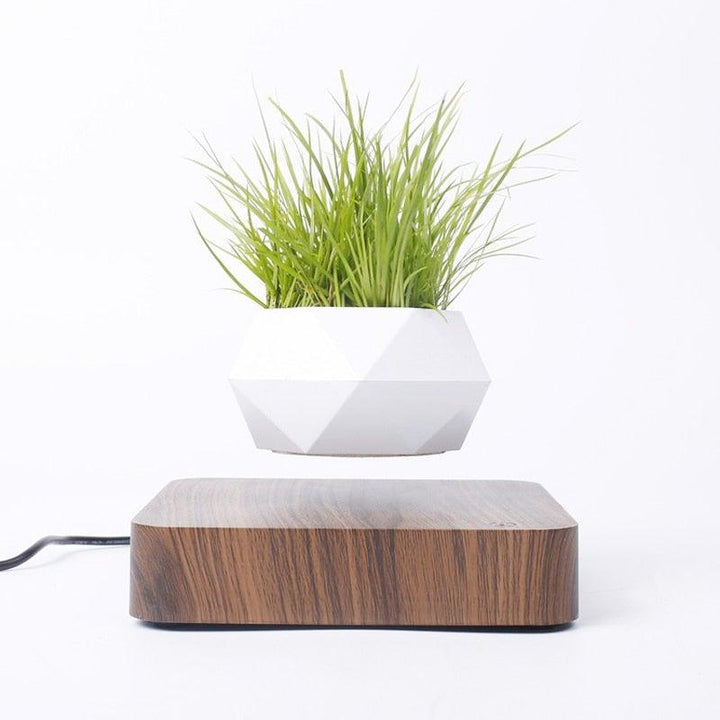 Norvo | Flytende Luft Bonsai Potte