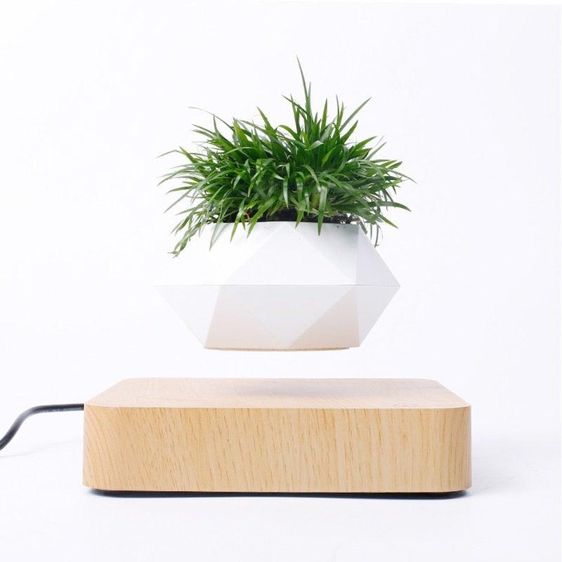 Norvo | Flytende Luft Bonsai Potte