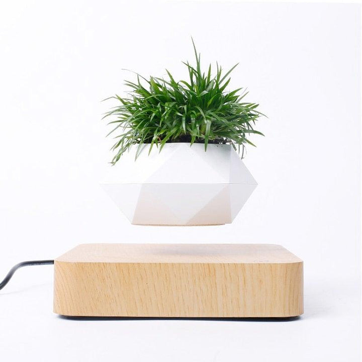 Norvo | Flytende Luft Bonsai Potte