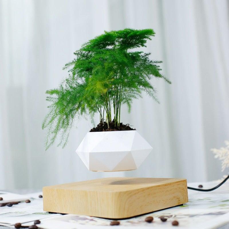 Norvo | Flytende Luft Bonsai Potte