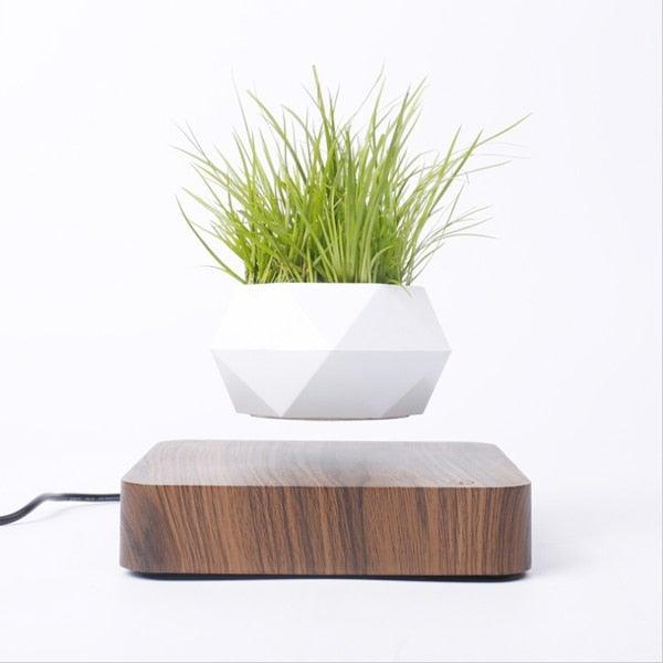 Norvo | Flytende Luft Bonsai Potte