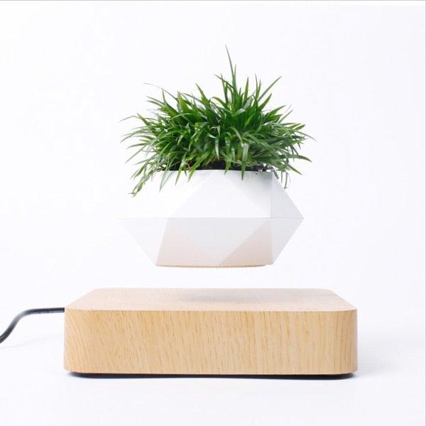 Norvo | Flytende Luft Bonsai Potte