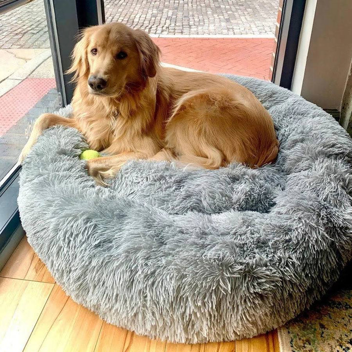 Norvo | Beroligende Hundeseng