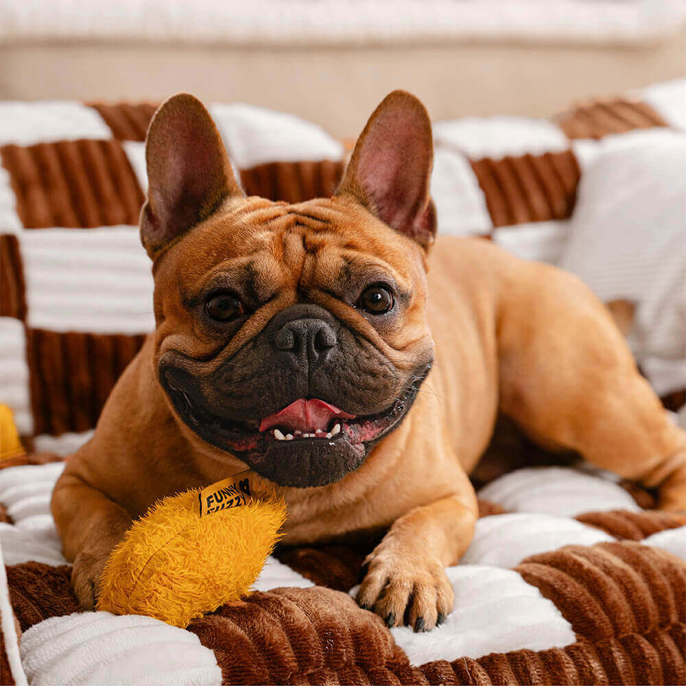 Luksuriøs Hundeseng Sofa - King's Chillout Sofa Norvo