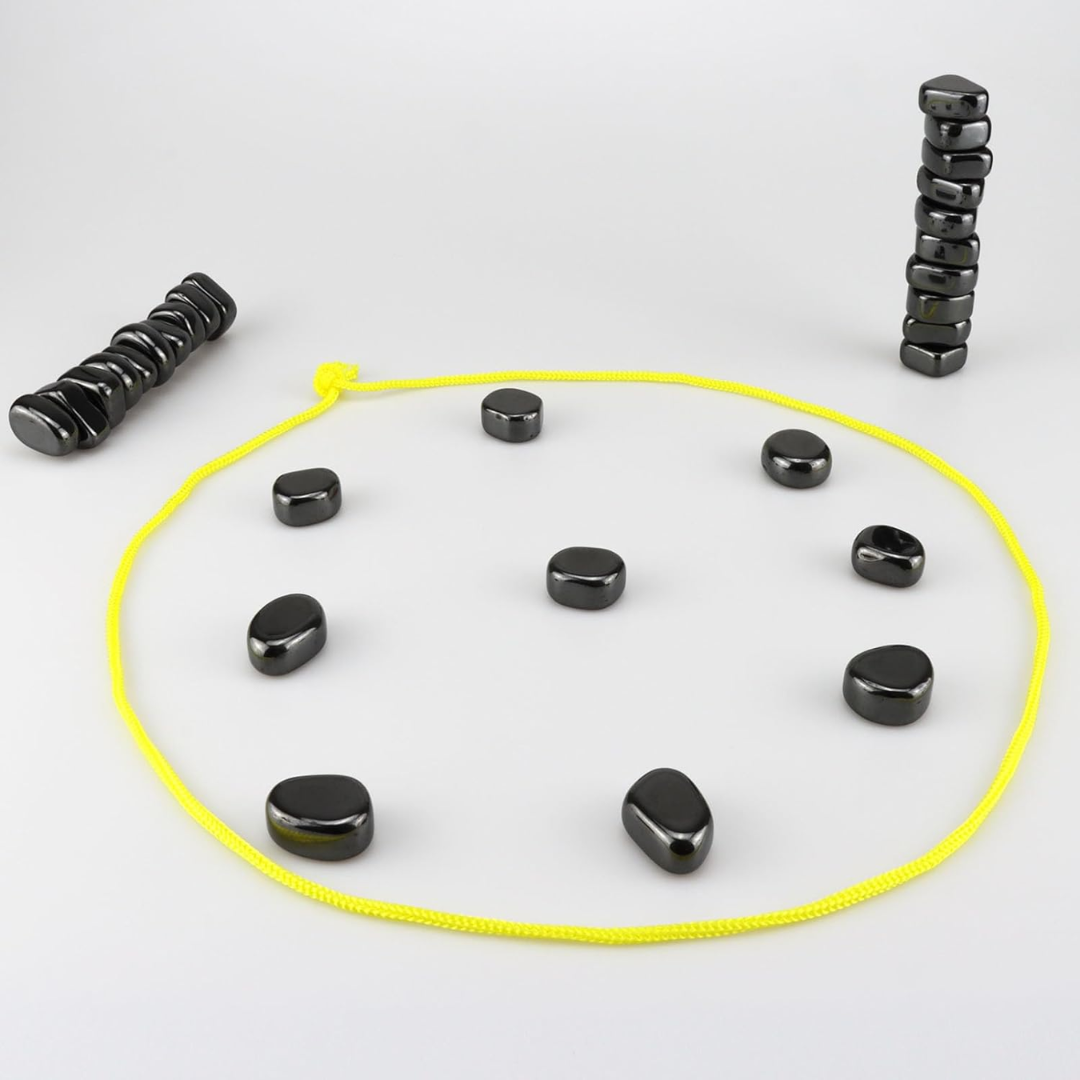 Norvo | Magnetisk Reise Sjakk Sett for Smart Underholdning - CheckMate