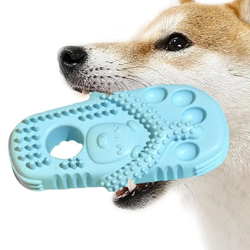 Chew Slippers for Dogs – FunPaws Norvo