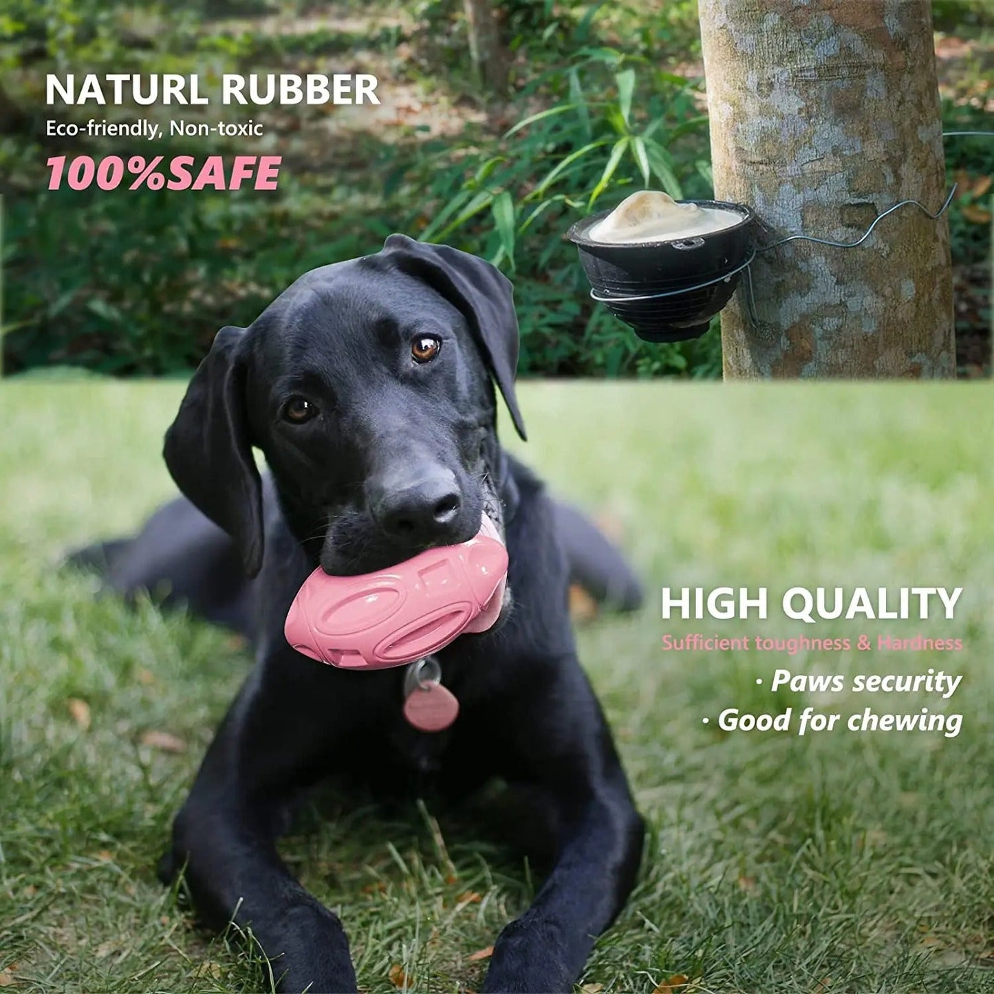 Squeaky Hundeleksaker for Aggressive Tyggere Norvo