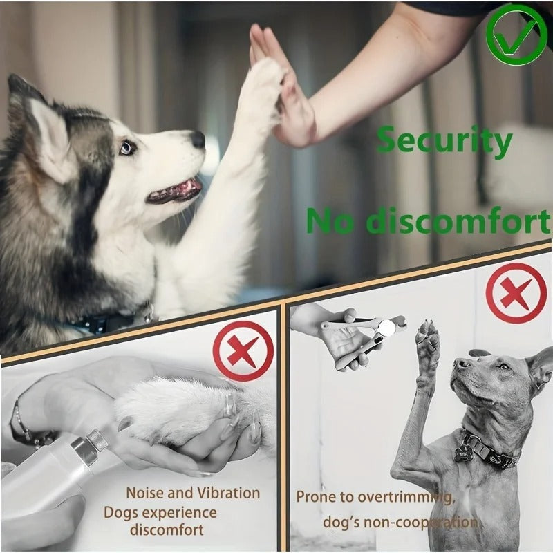 Paw Perfect Scratch & Groom Norvo