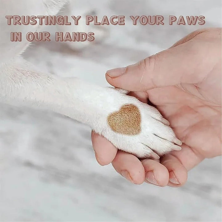 Paw Perfect Scratch & Groom Norvo