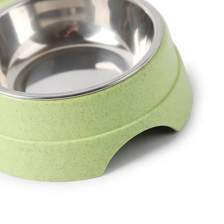 DualFeast Pet Bowls Norvo