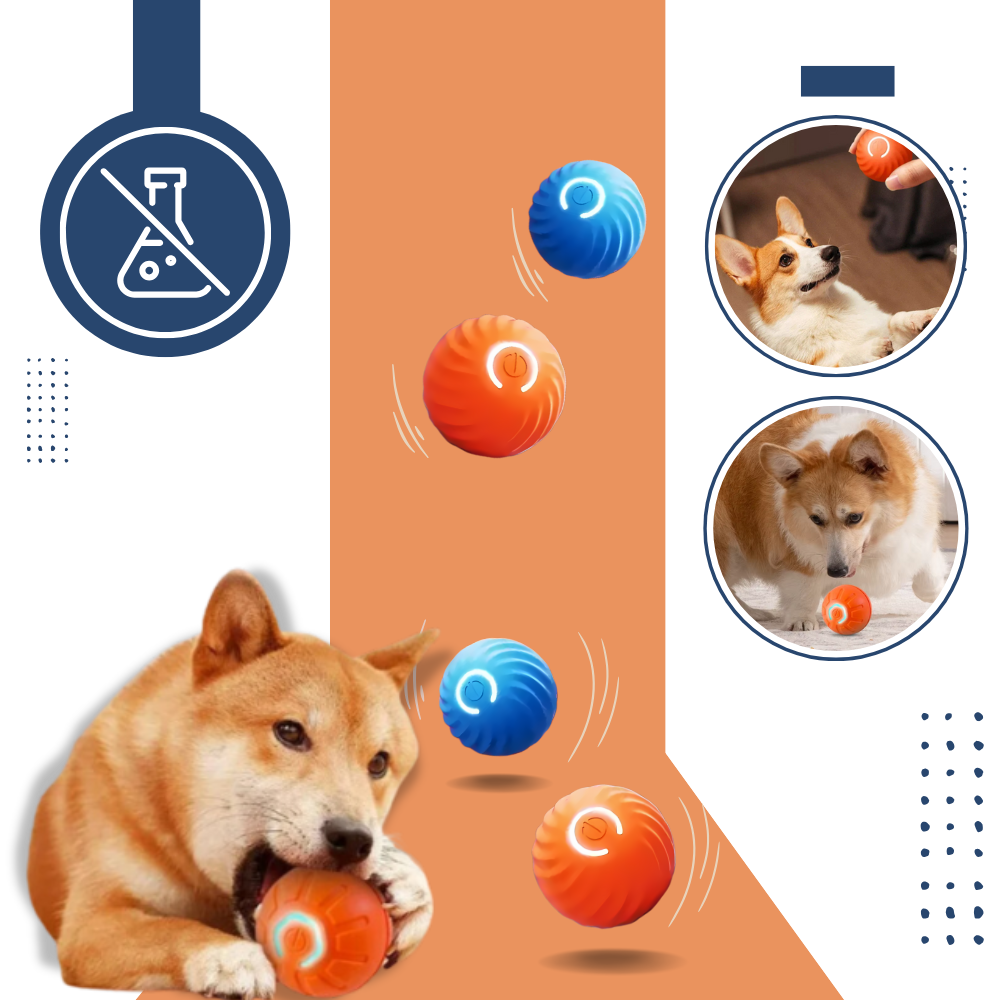 Hinderunnvikende Hundeball