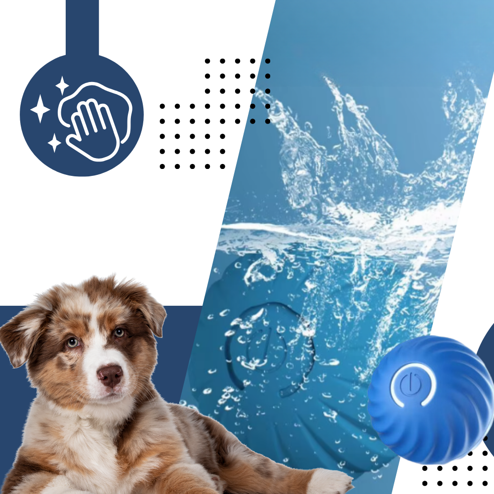 Hinderunnvikende Hundeball