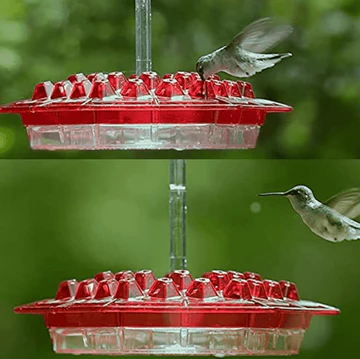 Norvo | Ant Proof Kolibri Fuglmatingsautomat Utendørs Hengende Påle