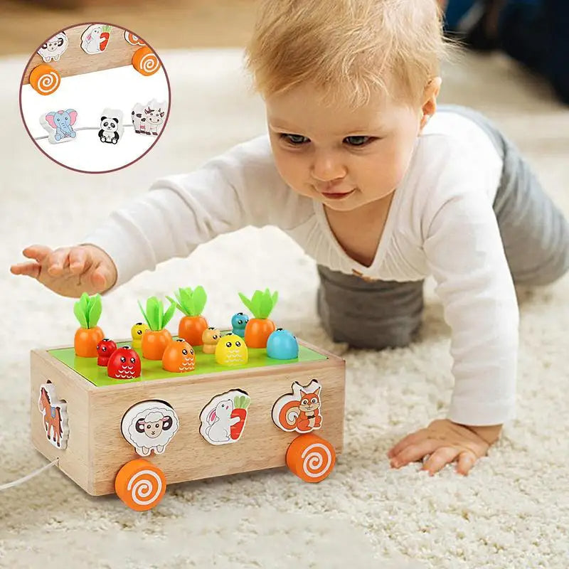 Norvo | Montessori Læring og Utvikling Treleketøy