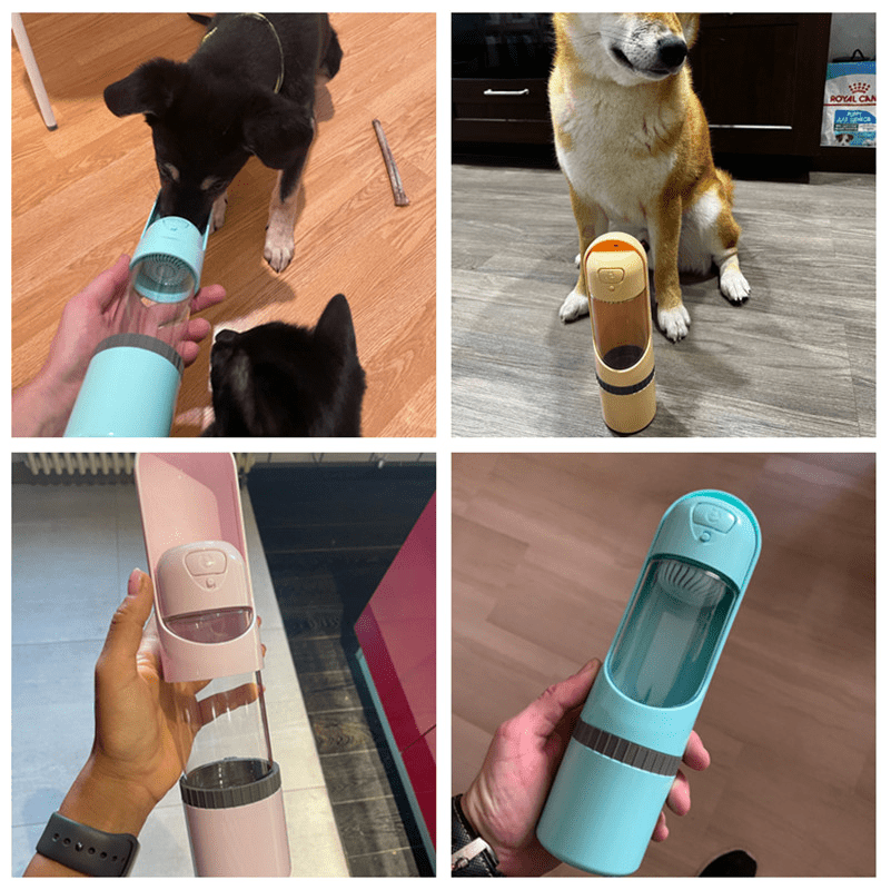 Norvo | Pawbuddy 2-i-1 Hund Reisekrus – Bærbar Vannflaske og Matbolle – BPA-fri, Lekkasjesikker, Ideell for Turer og Reiser