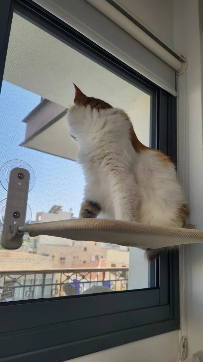 Norvo | PAWPERCH – Sammenleggbar kattehytte med veggvennlig feste | Ingen boring vindussete