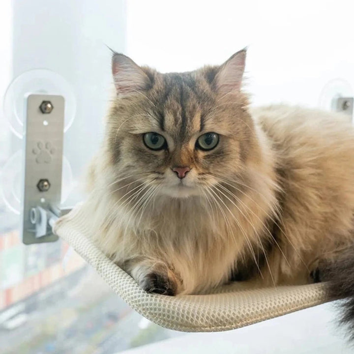 Norvo | PAWPERCH – Sammenleggbar kattehytte med veggvennlig feste | Ingen boring vindussete