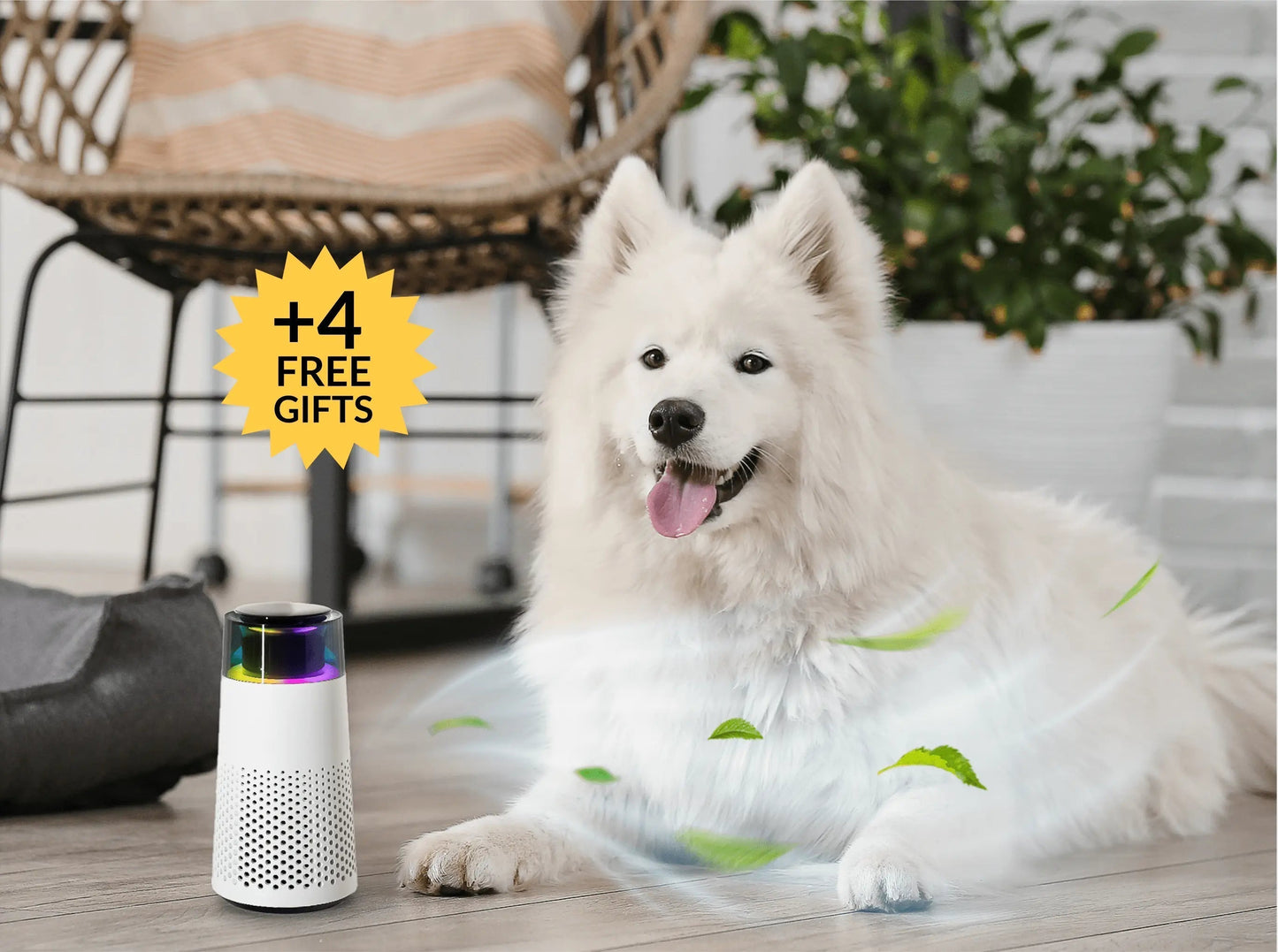 Pet Odour Humidifier – PetFresh Norvo