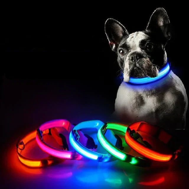 Norvo | GlowPets LED Halsbånd – Sikkerhet & Synlighet for Kjæledyr