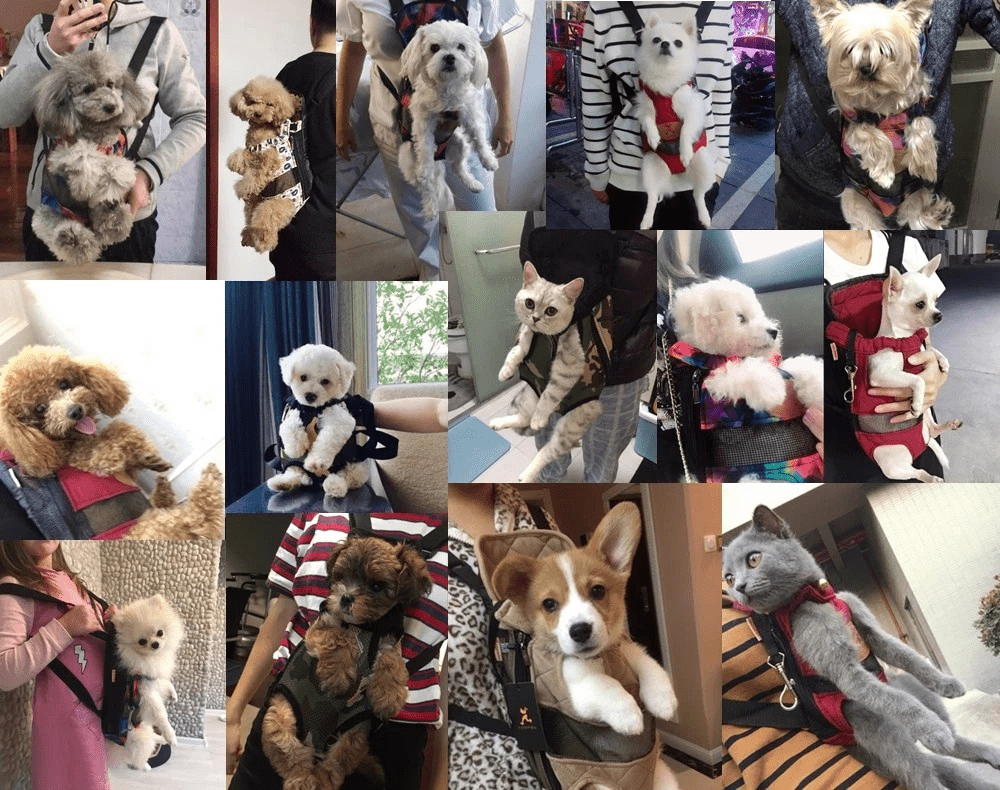 Norvo | Pustende kjæledyr reiseveske for stilfull og trygg reise