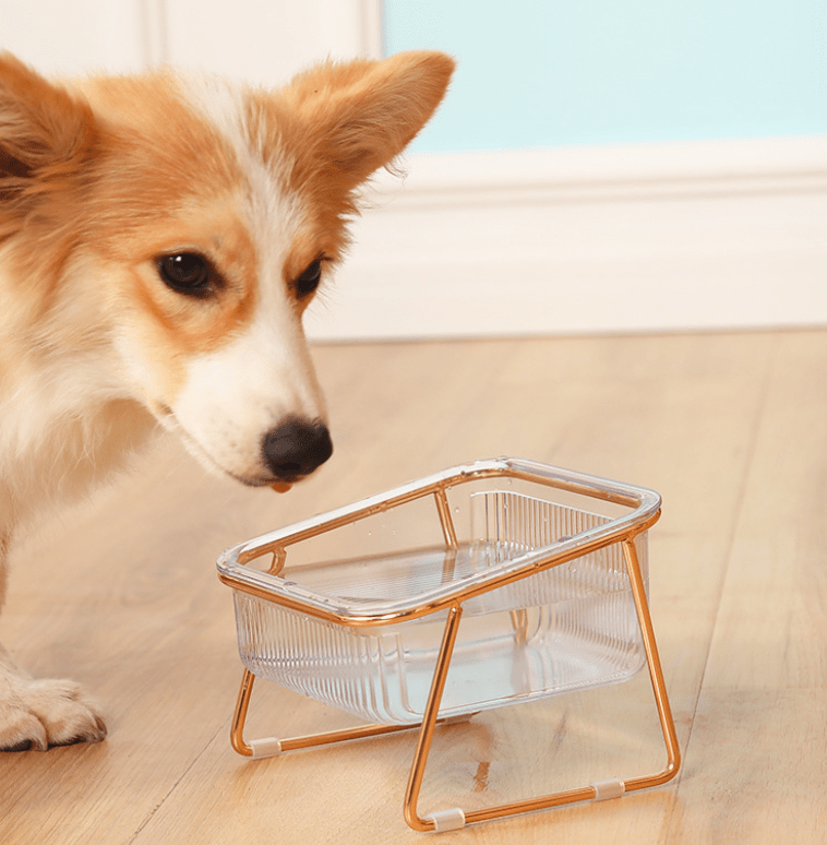 Norvo | PETCHIC Bolle – Hevet Fôrbolle for Katter & Små Hunder