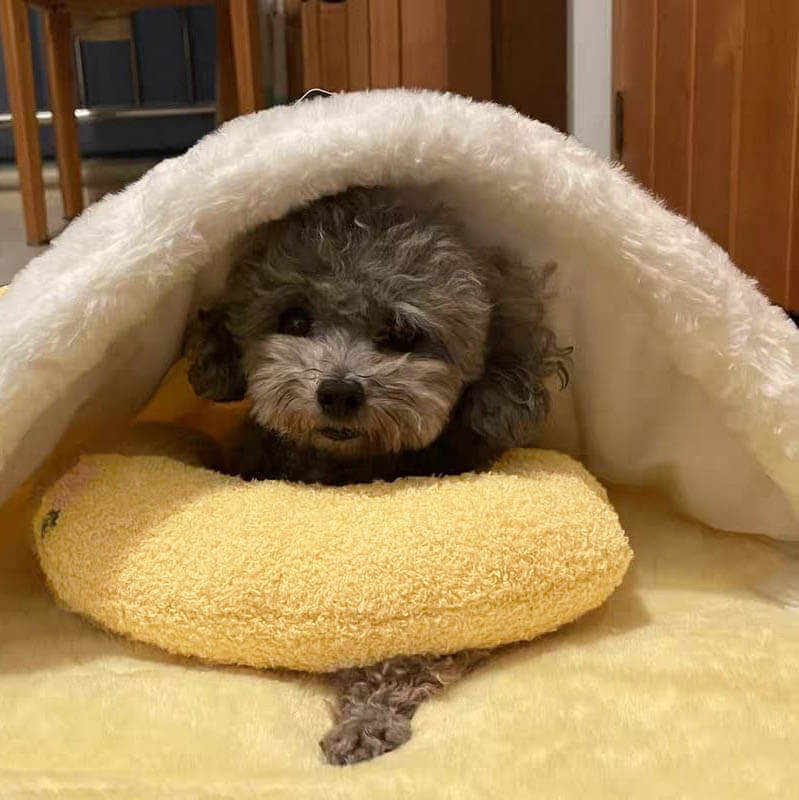 Norvo | PETEASE Luksus – Ortopedisk Hundepute med Antistress Komfort