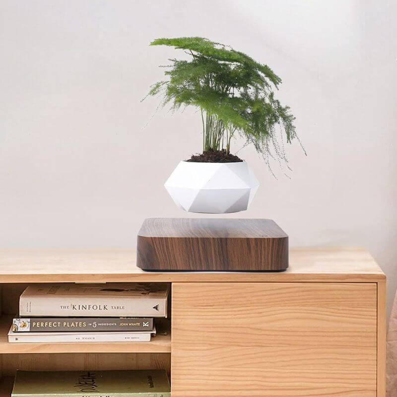 Norvo | Magnetisk svevende blomsterpotte med LED-lys - Flytende planter for hjemmeinnredning & unike gaver