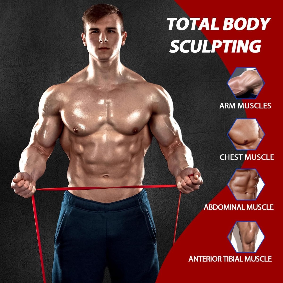 Norvo | Power Band Motstandssett – Latekstreningsbånd for Pull-Ups, Styrketrening, Fleksibilitet og Helkroppstrening