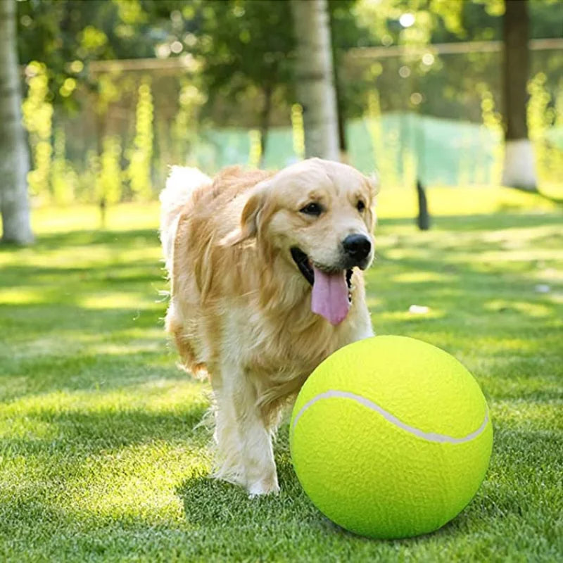 Giant Tennis Ball For Dogs Norvo