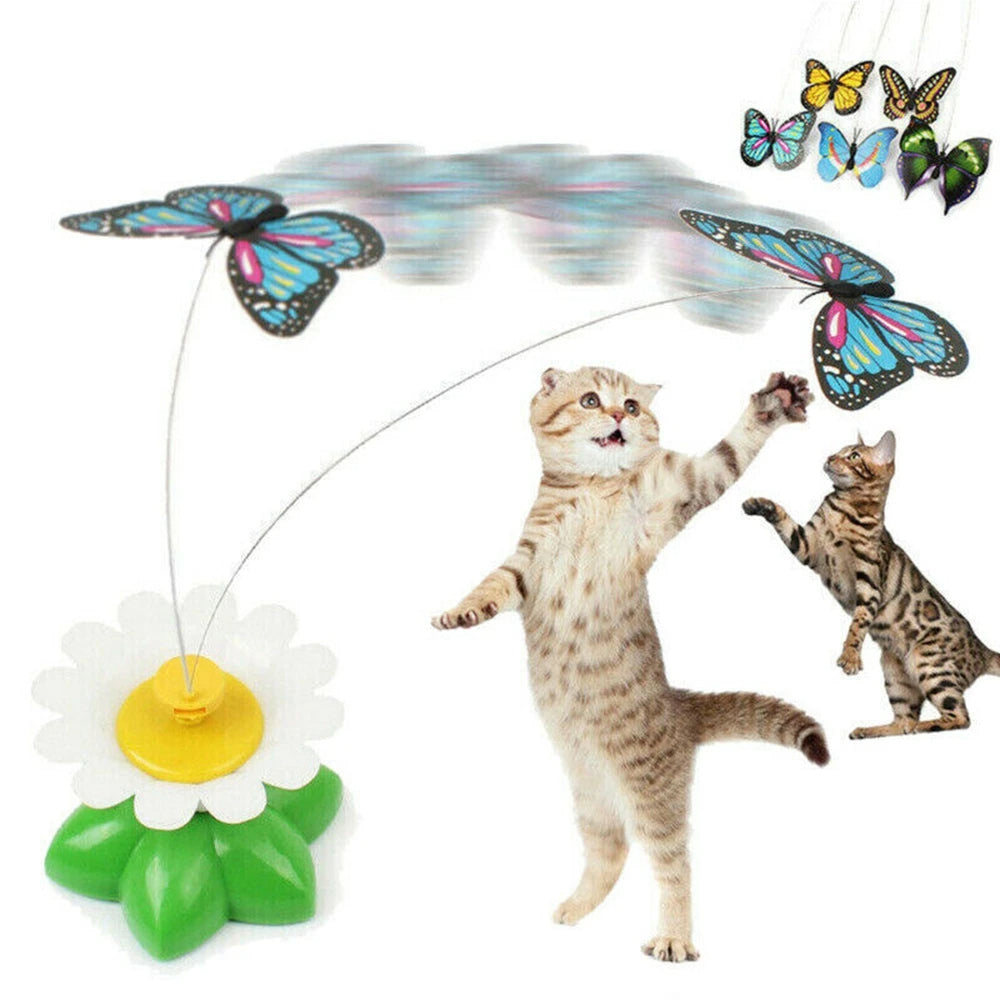 Butterfly Toy For Cats Norvo