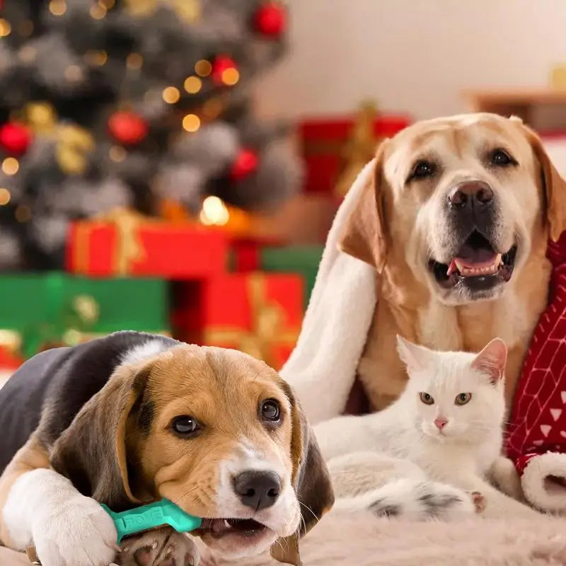 Interaktivt Holdbart Hundetyggbein Norvo