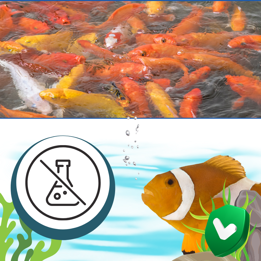 Forebyggende algedrepende middel for akvarier