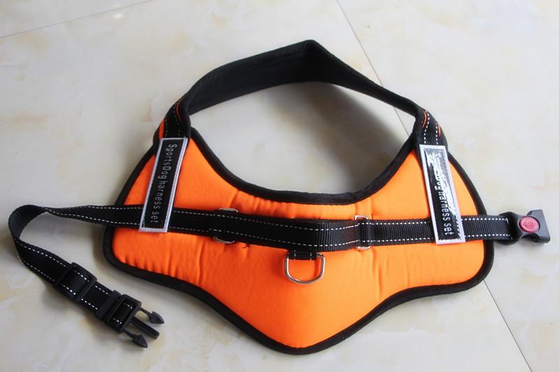 Hundegåingsele | Norvo